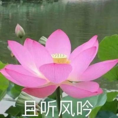 广东深圳：出台政策遴选培养战略科学家